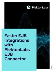 Whitepaper on EJB Connector